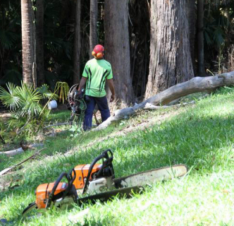 Fire Hazards, block and brush clearing and garden services
